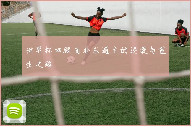 世界杯回顾南非东道主的逆袭与重生之路