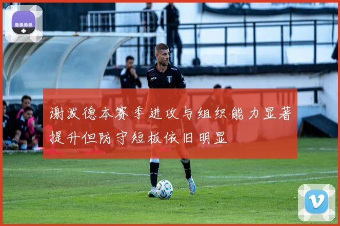谢泼德本赛季进攻与组织能力显著提升但防守短板依旧明显